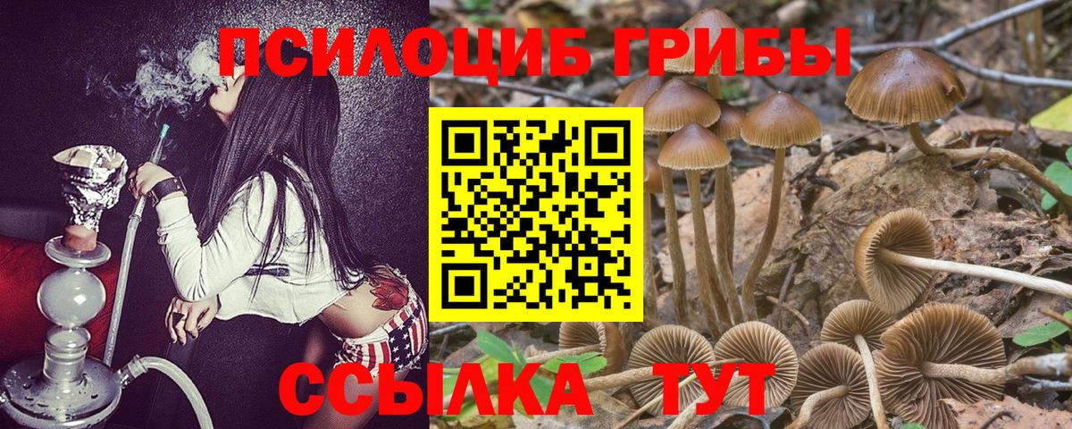 Псилоцибиновые грибы Magic Shrooms Красноармейск